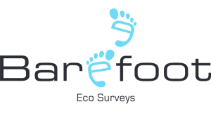 Barefoot Eco Surveys Logo