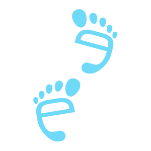 Barefoot Eco Surveys Site Icon