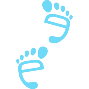 Barefoot Eco Surveys Logo