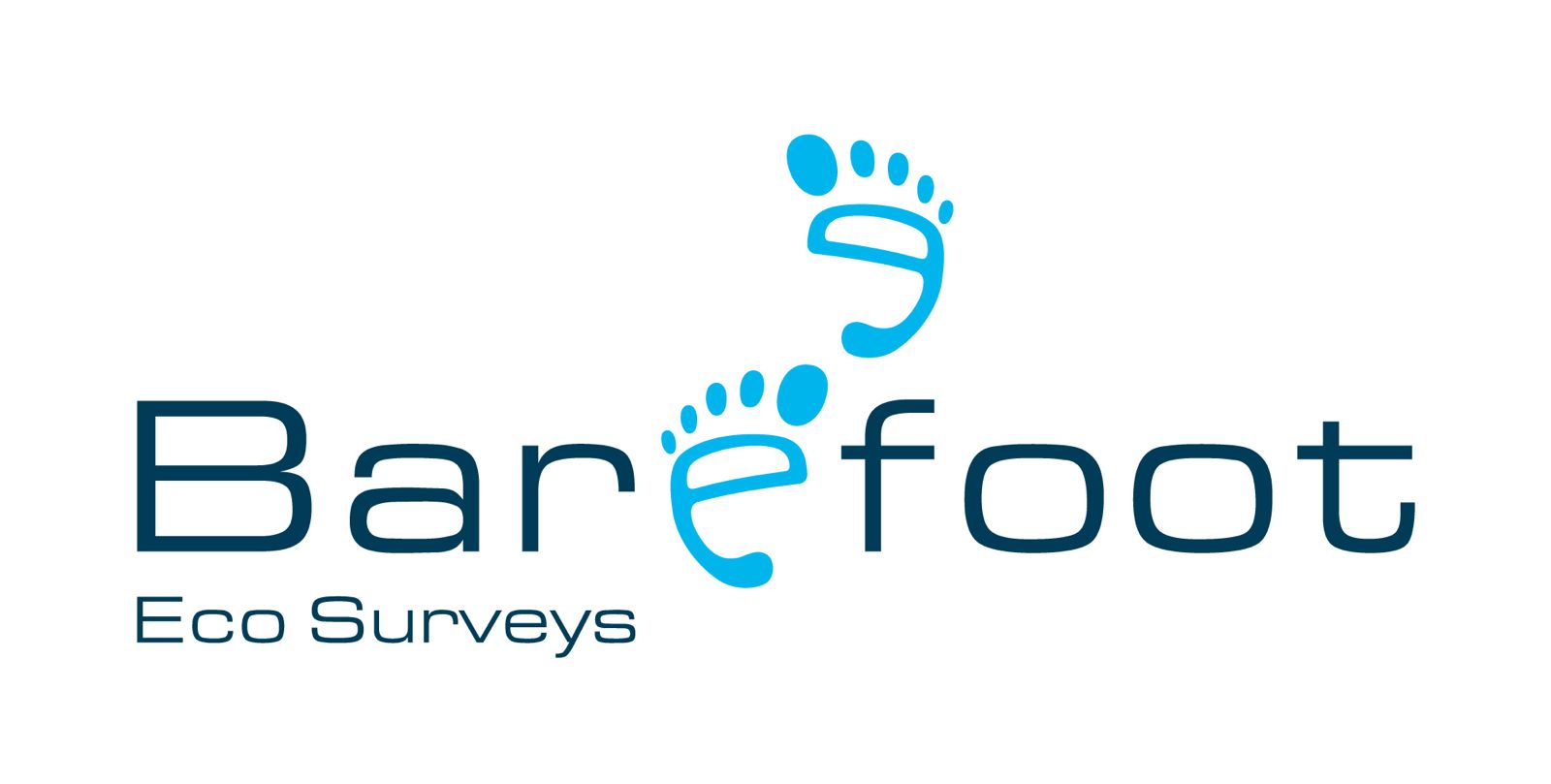 Barefoot Eco Surveys